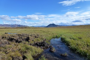 LandscapeAlaska2